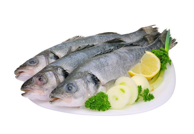 宠物食品挤出机 第134页