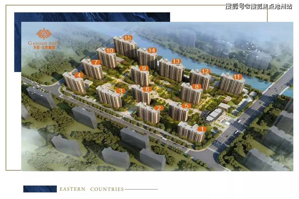 菜籽价格最新行情回顾与洞察