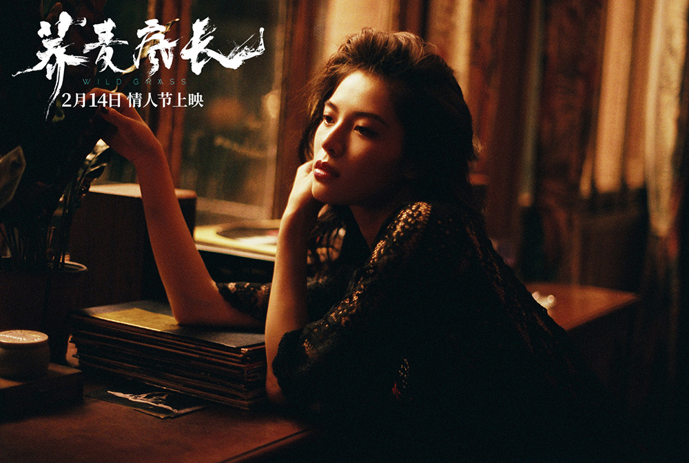 荞麦疯长，票房大热，学习与变化的光芒激励前行
