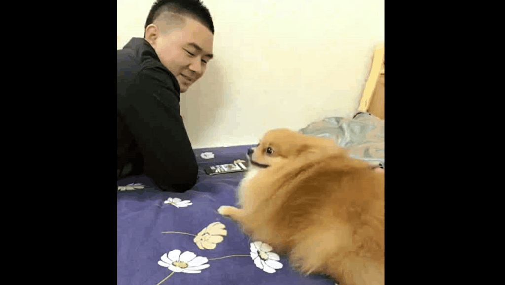 打喷嚏最新视频观看与学习指南，专业教程分享