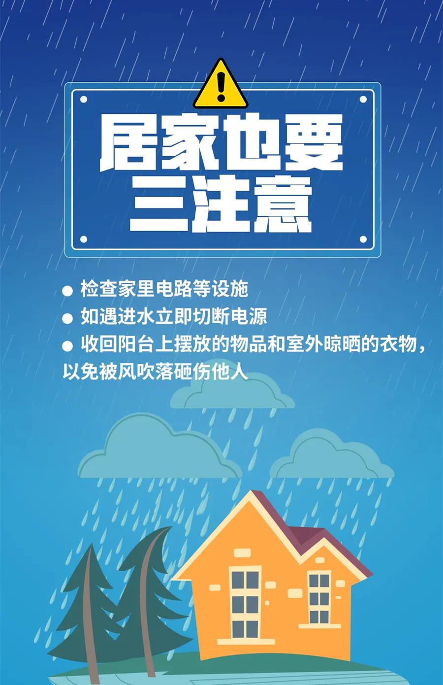 最新防伙牌，背景、重大事件与重要地位解析