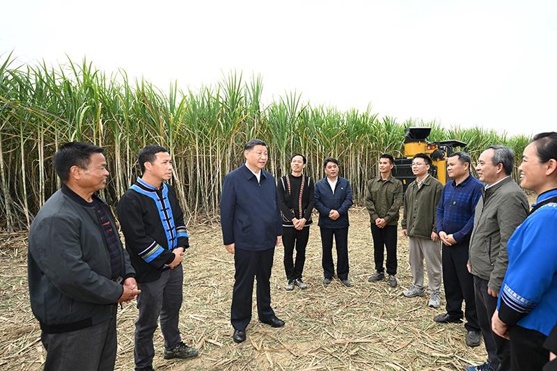 苗市最新案件，变化带来的自信与成就感提升之路