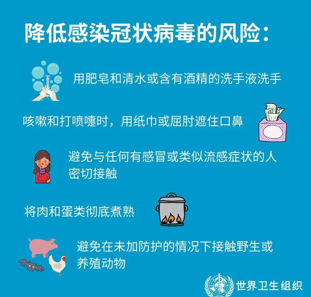 最新防病毒技术，保护数字生活免受病毒威胁