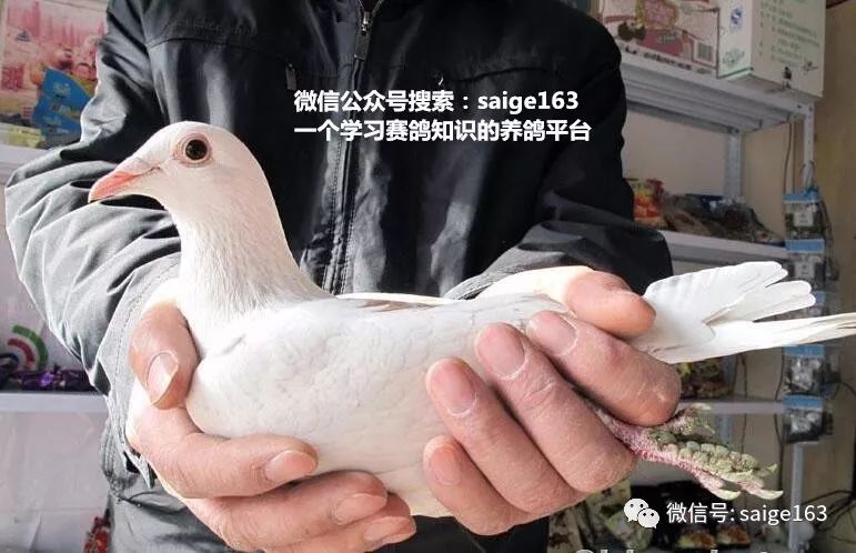 详解