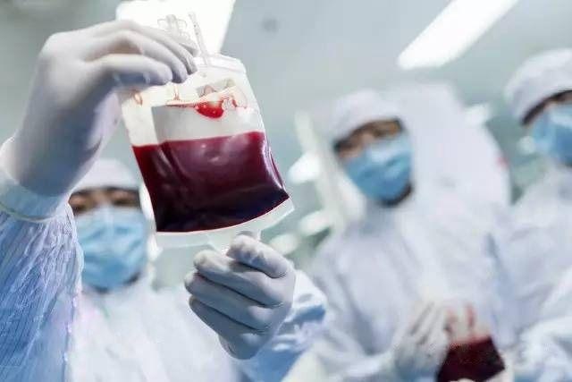 脐带血最新论述，价值、争议与前景探讨