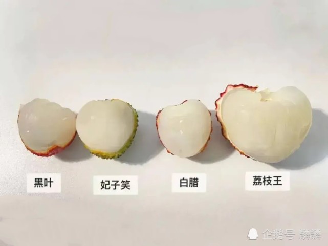 最新版欢心，小巷中的隐秘美味探索