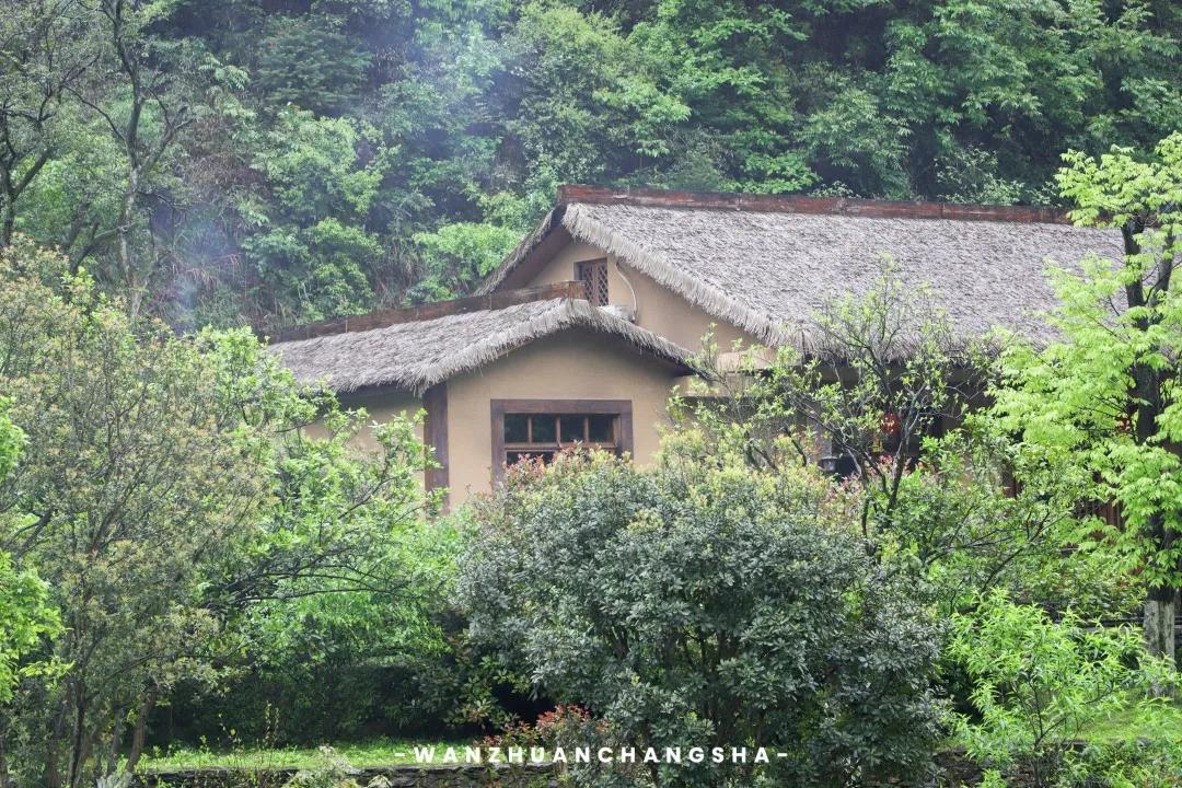 家禽最新新闻，与自然共舞的心灵之旅探寻宁静之地