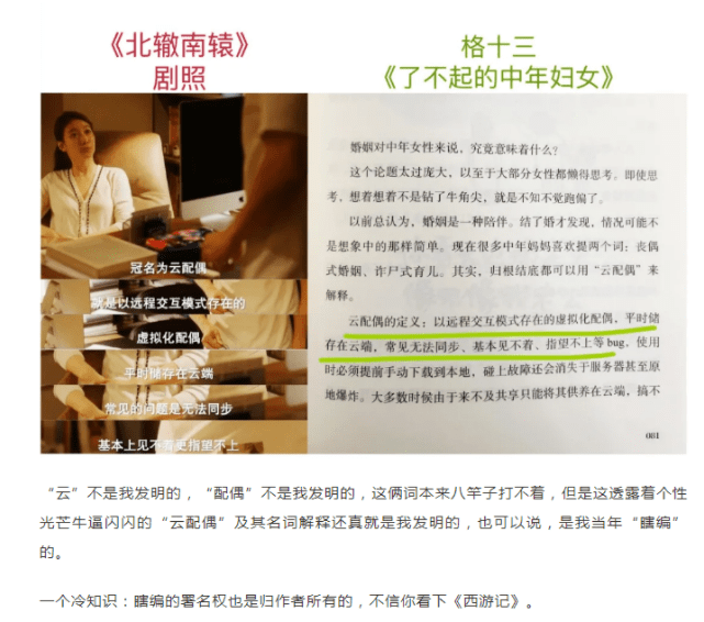 南适最新小说多维视角深度解读
