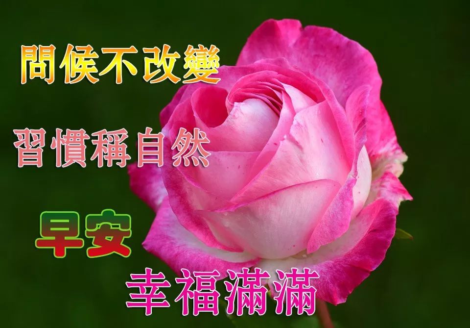 最新周末愉快图片，视觉享受与社会情感的完美交融