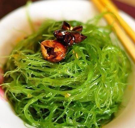 引领潮流的清凉美食之旅，探索最新凉菜趋势的味蕾盛宴