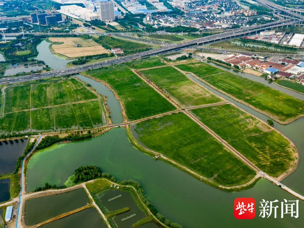 苏州最新田区探索，都市中的田园秘境