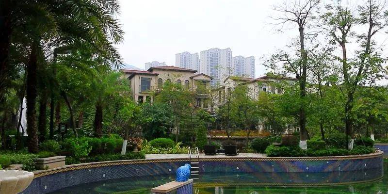 肇庆珀丽湾最新房价动态，风景变化中的自信学习与成就之路