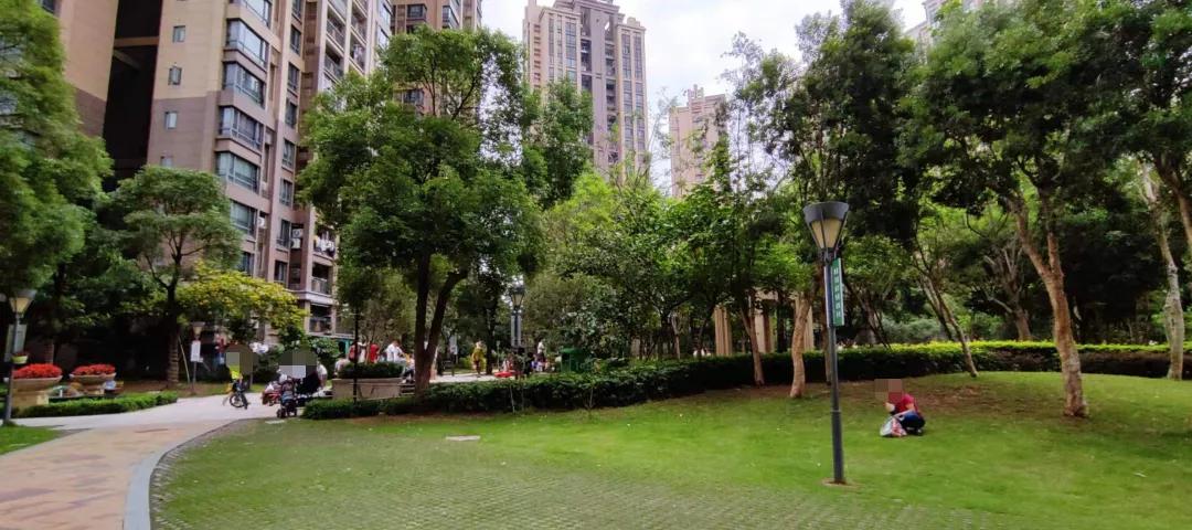 盛世汇海案最新进展，力量变化中的自信与成长旋律