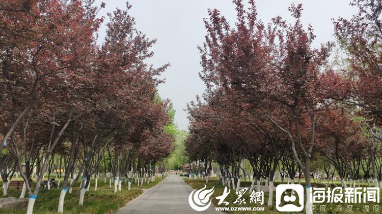 济宁绿地国际最新动态更新速递