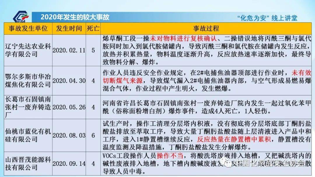 浙贝母行情深度解析，历史背景、重大事件与地位的探究