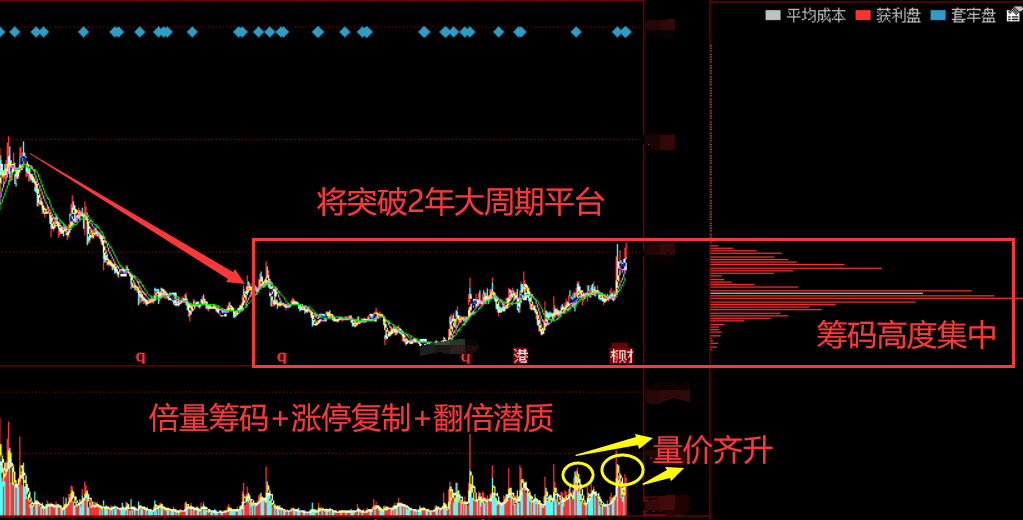 能源龙头股票，自信与成就之旅的启程点