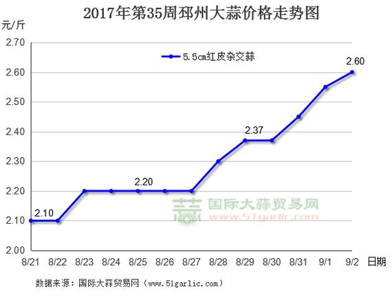 山东大蒜最新价格行情，科技引领新时代的蒜价变革