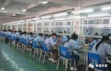 宠物食品挤出机 第62页