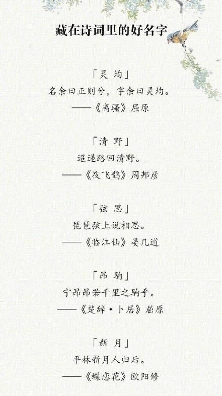 诗词比赛小组名称的探讨与创意命名