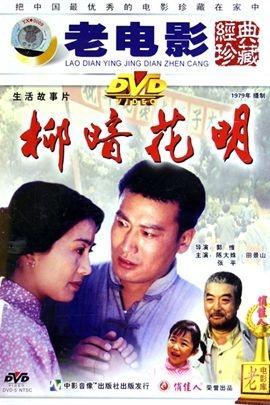 电影柳暗花明，探寻生活的曙光之路