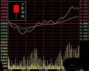 股票基础知识讲解，开启财富增长之旅的大门