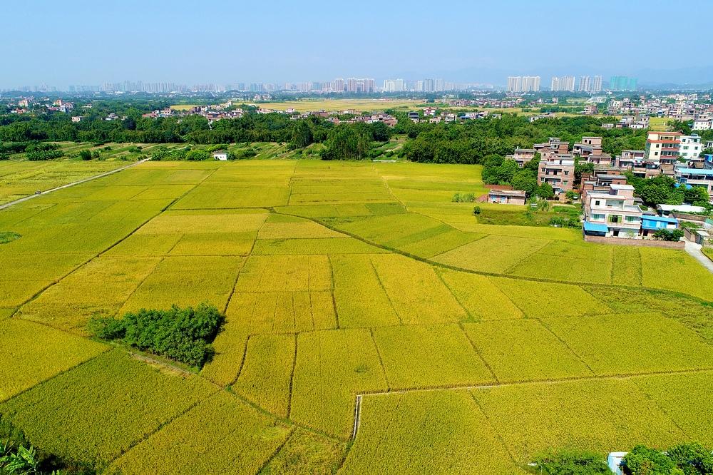 清远市最新房产价格，科技重塑居住梦想，未来生活触手可及，房价趋势展望