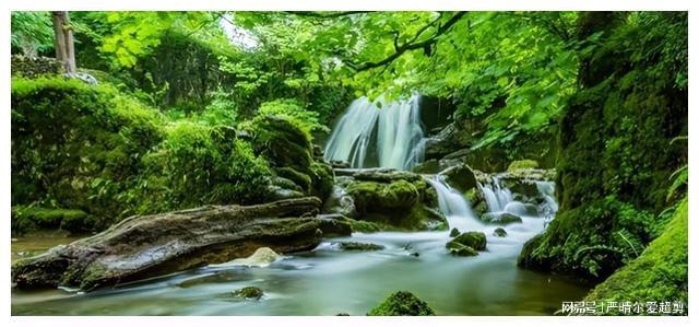 四虎最新网址，探索自然美景，寻找内心平和宁静之旅