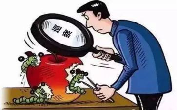 最新巡察报告范文详解