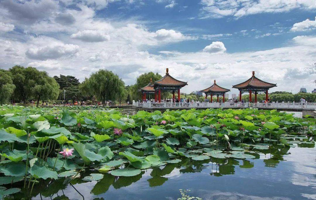 七台河最新信息网，探索自然美景，寻找内心平和之旅