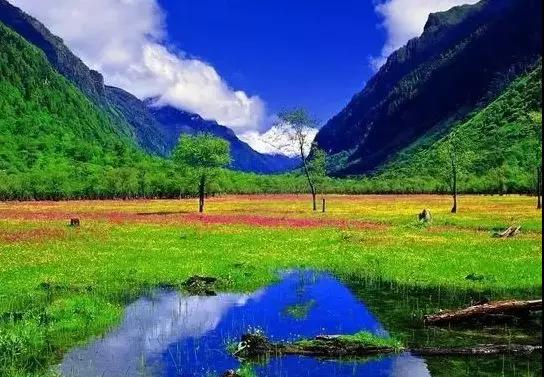 四川乐山最新动态，自然美景探索之旅启程！