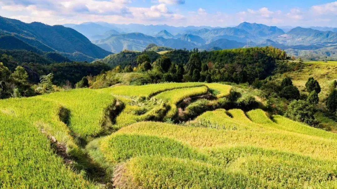太安堂最新动态，自然美景探索之旅，寻找内心平和与宁静