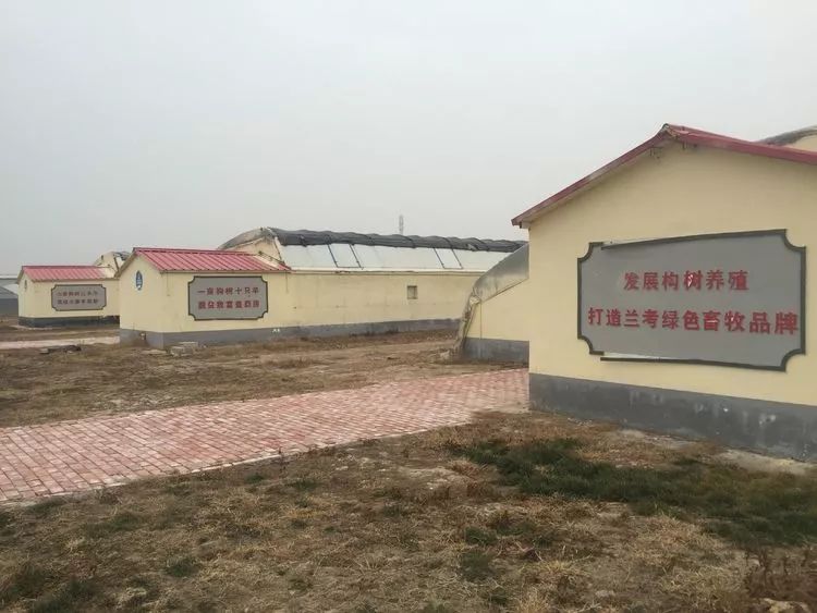 兰考富士康最新动态与小巷独特风味小店的探秘之旅