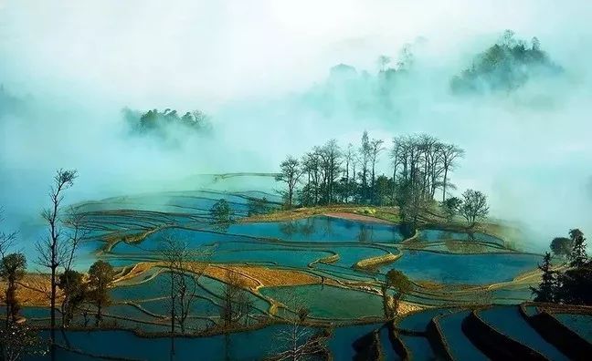 一点公益走进自然美景，探寻内心宁静之旅的最新动态