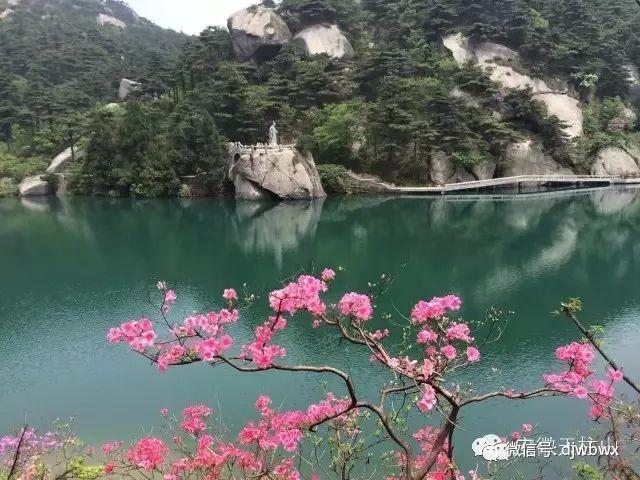 天柱高铁最新动态，时代速度揭示未来发展方向