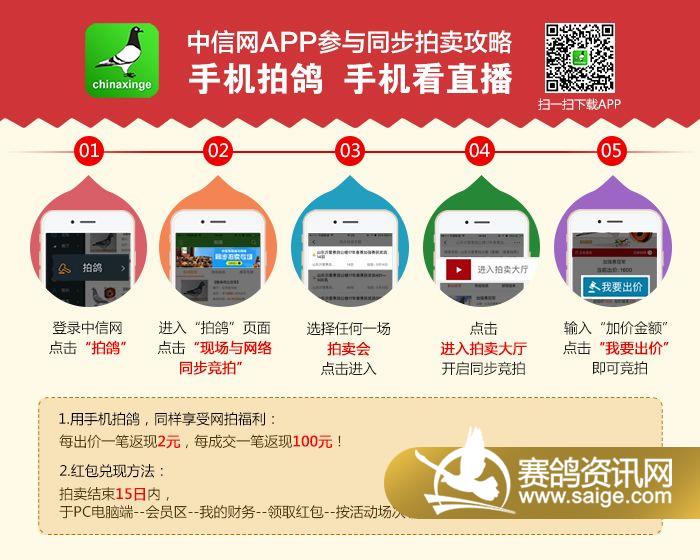 黄河公棚最新公告发布，关注最新动态与通知