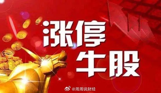 股票推荐每日一股最新动态更新
