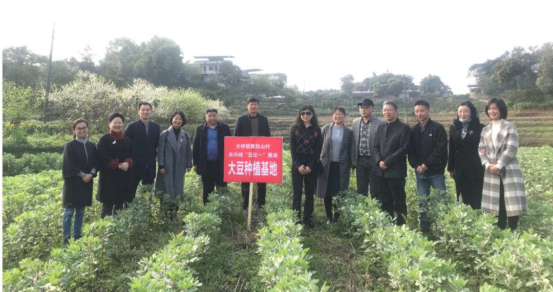 合江最新规划，未来高科技生活新篇章的革新之旅