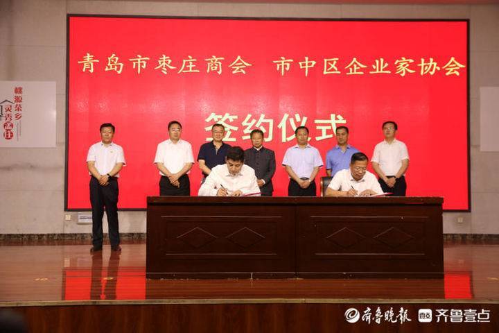 河南桐柏最新新闻，县域发展的多维度深度探析