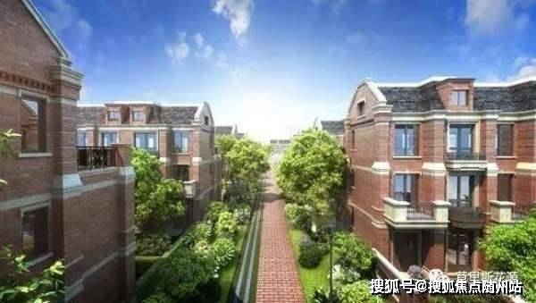山东最新动态，深度观点阐述与分析