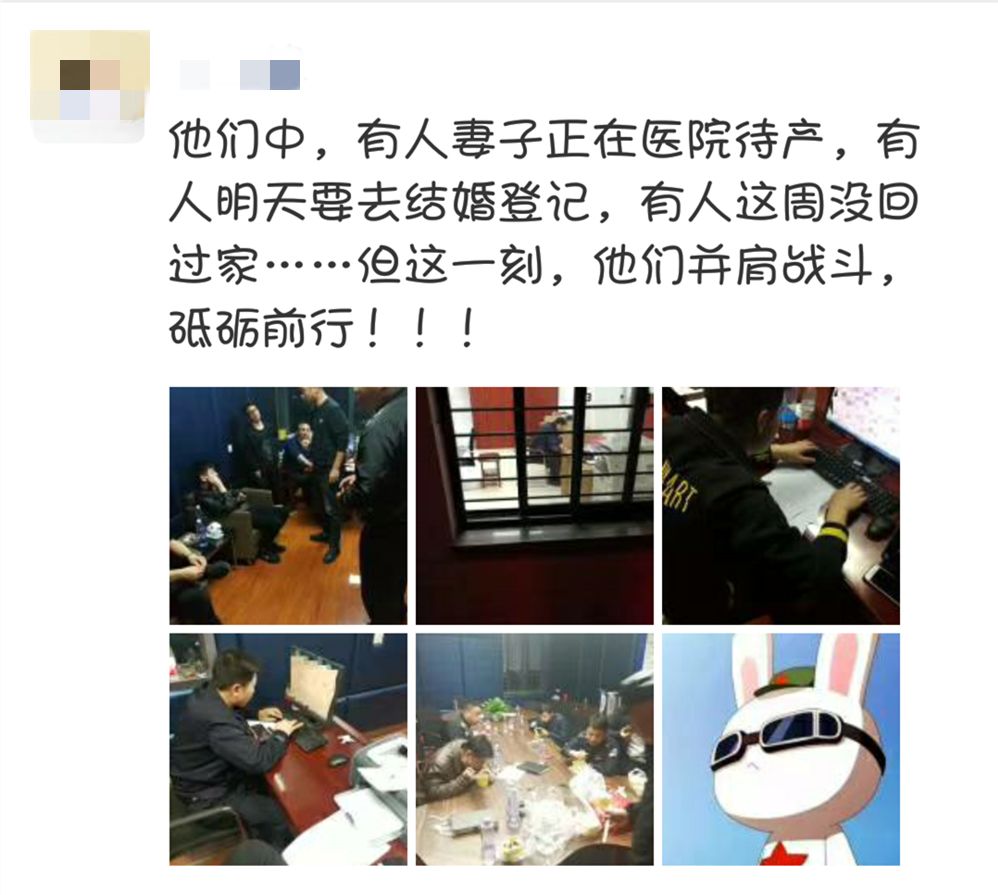 微信头像更新背后的温馨故事与最新头像展示