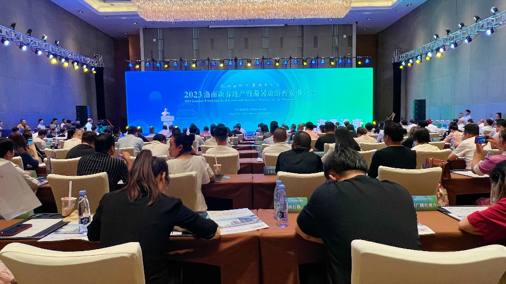洛南新闻最新动态，友情盛宴与温馨日常