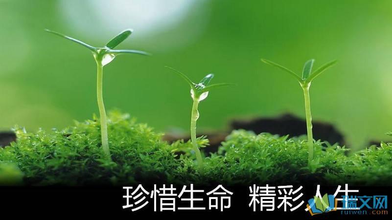 最新网名揭晓，探寻自然美景之旅，启程内心宁静与平和之旅