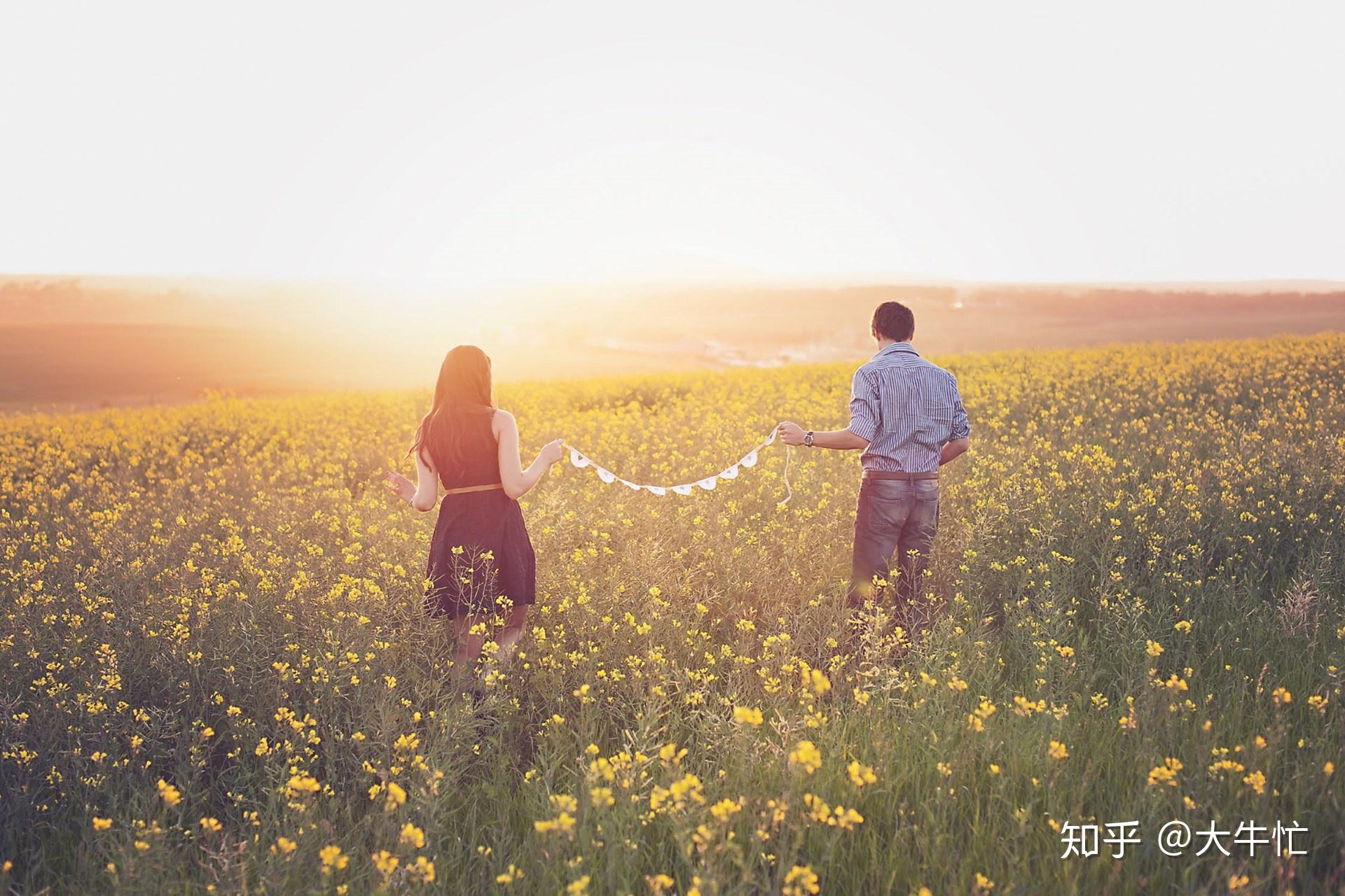 辰东最新小说，点亮学习之路，自信与成就感的奇妙旅程