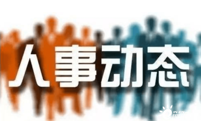 福建最新人事任免，小城的人事变迁与友情纽带