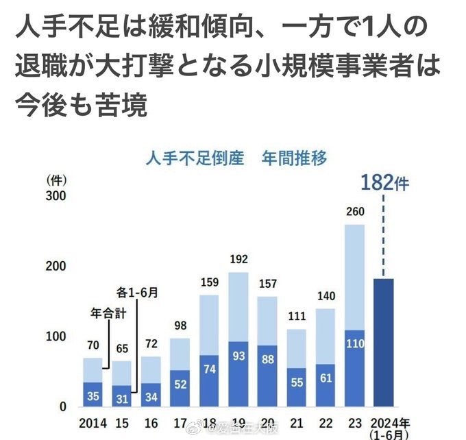日本最新资讯，时事动态与温馨日常趣事