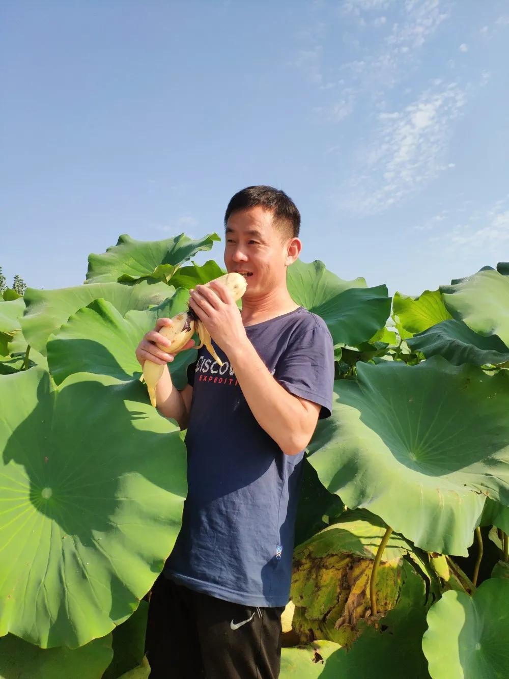 沂水最新招工，科技革新引领未来就业体验重塑