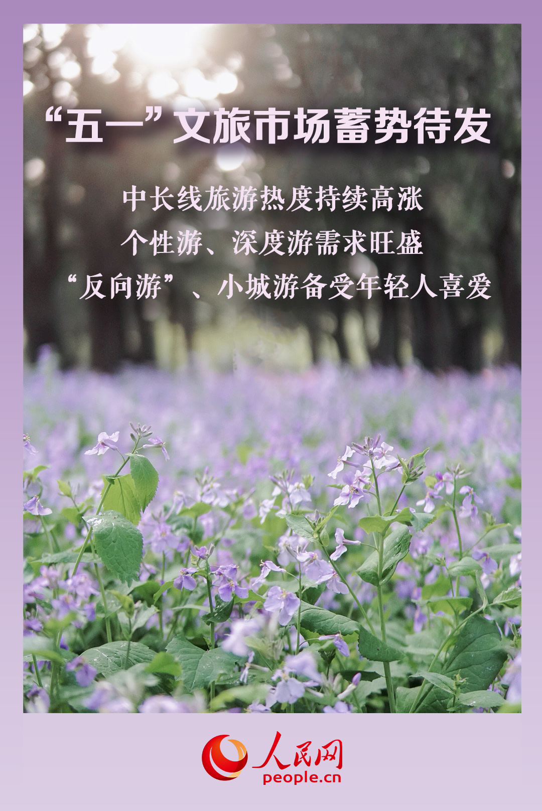 心灵与自然的美妙之旅，最新消息揭秘5735动态