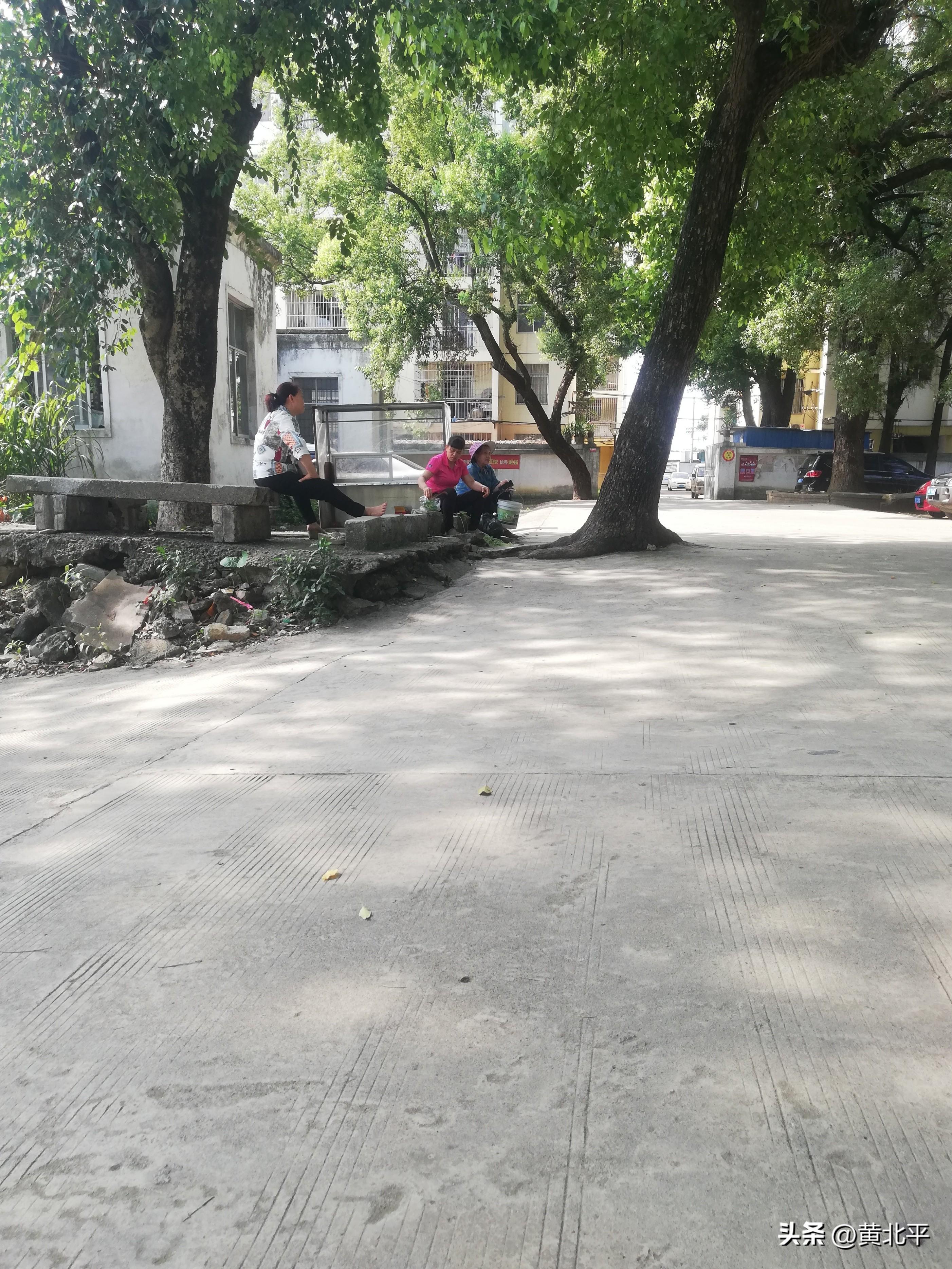 南宁临时工最新招聘，开启自然美景探索之旅