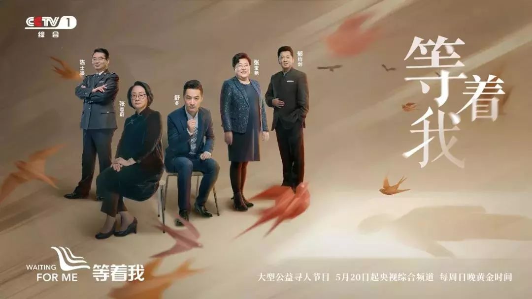 爱的寻觅与陪伴的温暖日常——最新节目抢先看