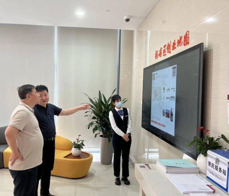 洛阳最新发展，步骤指南与概述